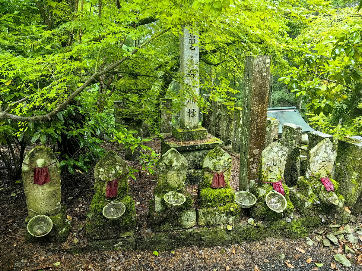 四十四番  菅生山 大寶寺